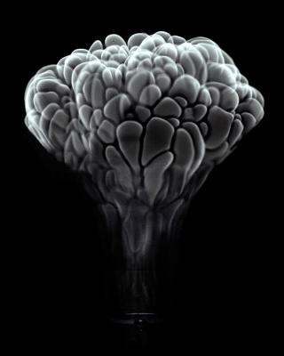 Illustration for article titled Booze Exploding at High Speeds Looks Like a Beautiful Brain Scan